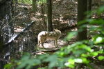 DSC_6904.JPG